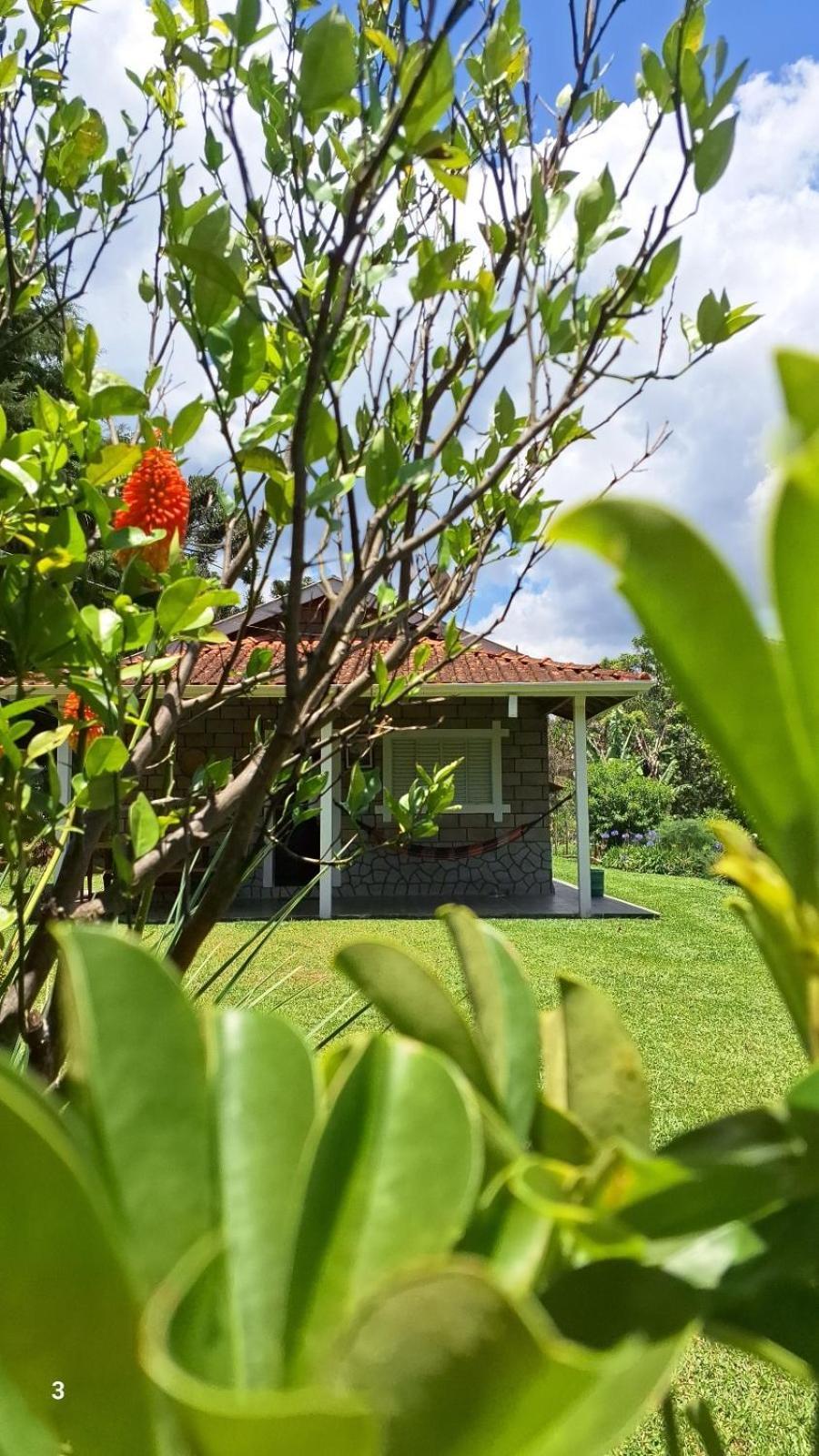 Canto Dos Passaros- Casa De Campo Em ゴンサウヴェス 部屋 写真
